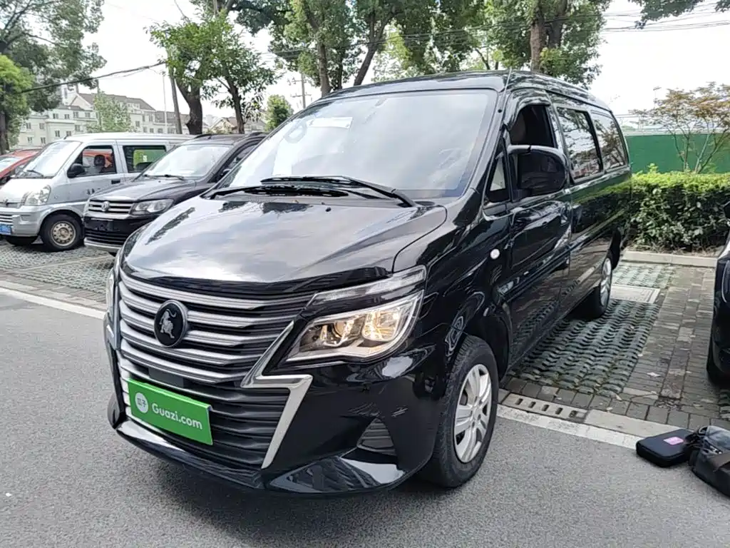 Fengxing Lingzhi 2024
