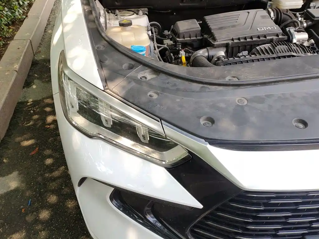 BYD Song Pro New Energy 2024 — фото 7