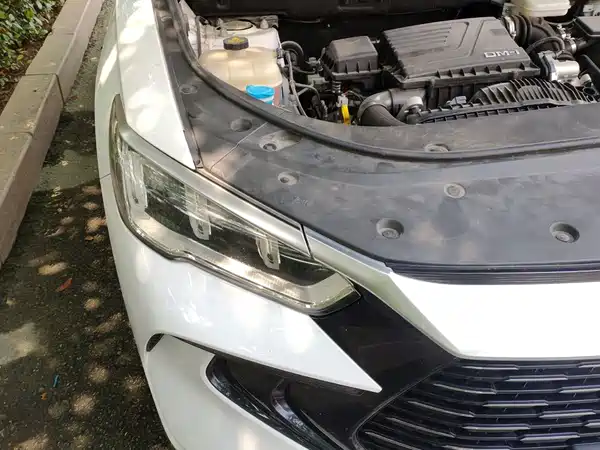 BYD Song Pro New Energy 2024