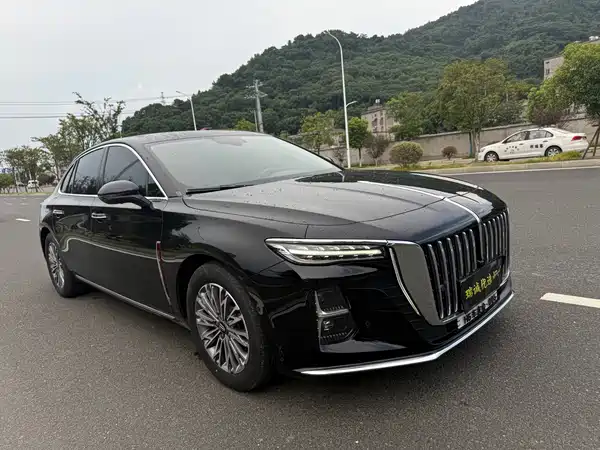 Hongqi H5 2024
