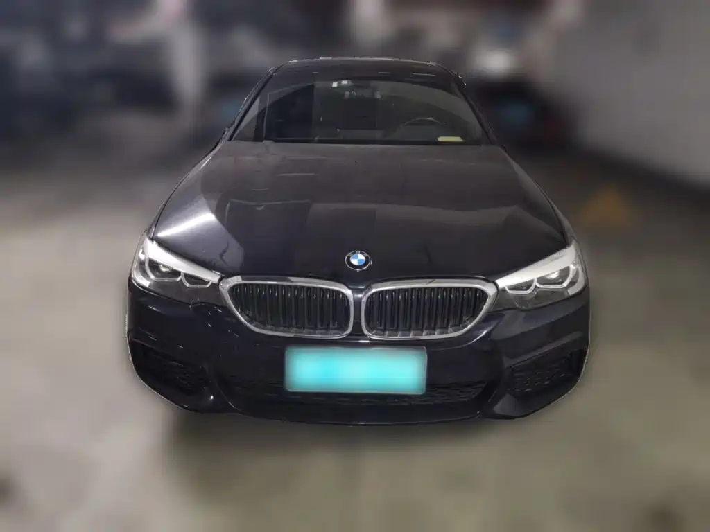 BMW 5 Series 2019