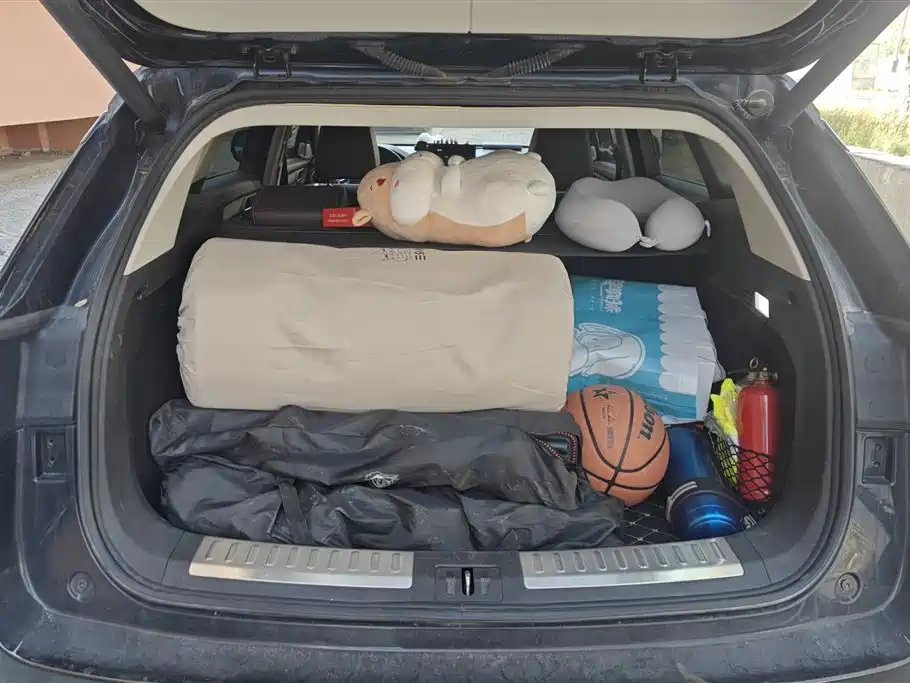 Wey VV6 2019