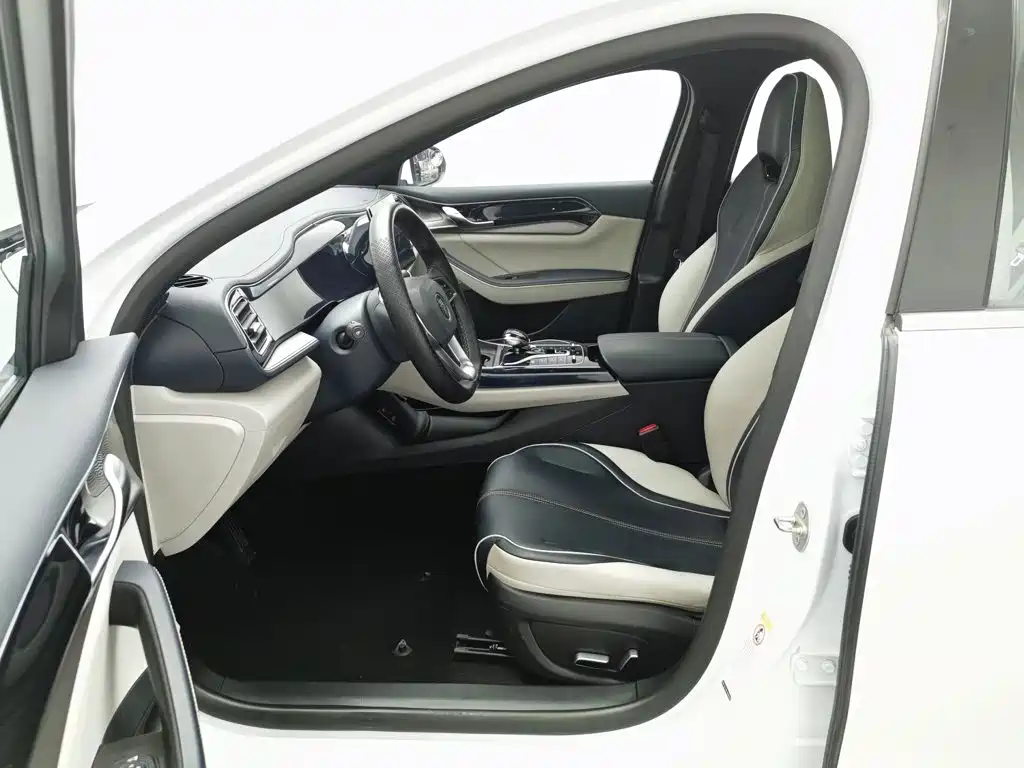 BYD Qin PLUS 2021 — фото 10