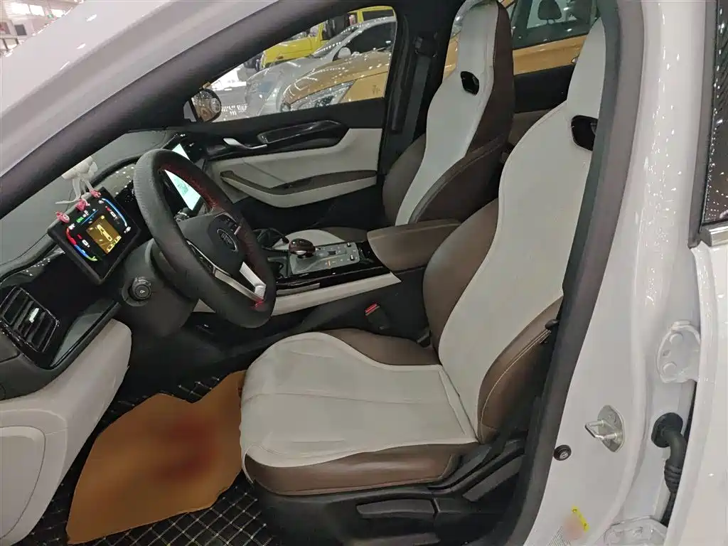 BYD Qin PLUS 2025 — фото 15