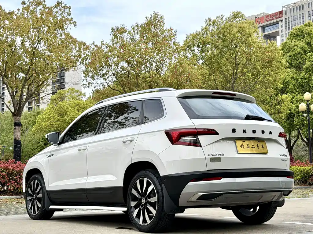 Skoda Karoq 2019 — фото 16