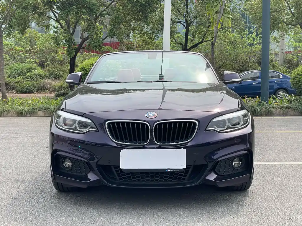 BMW 2 Series 2019 — фото 2