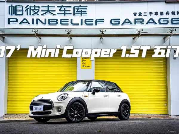 MINI MINI 2016