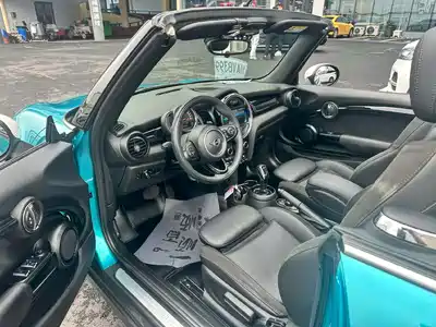 MINI MINI 2018