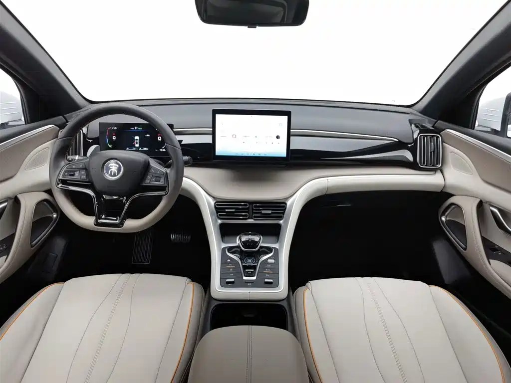 BYD Pro New Energy 2024