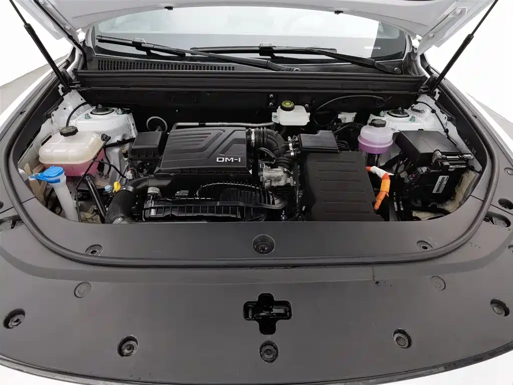 BYD Pro New Energy 2024