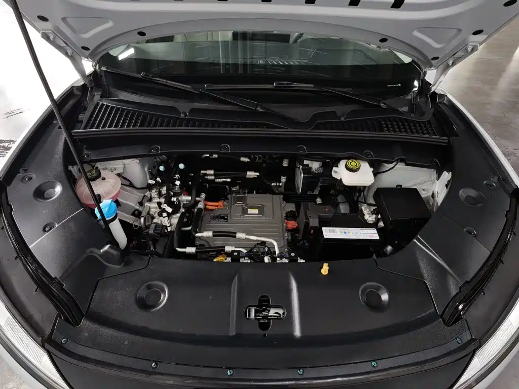 BYD Yuan UP 2024