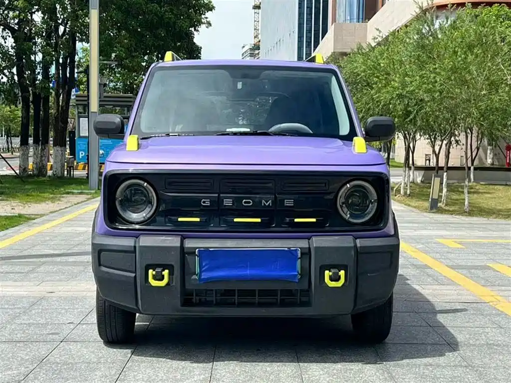 Galaxy Panda 2024