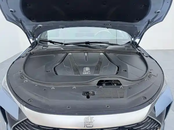 BYD Tang New Energy 2024