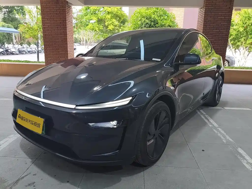 Tesla Model Y 2025 — фото 1