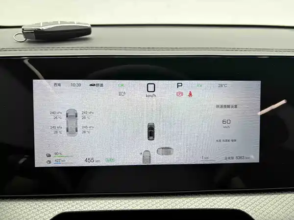 BYD Song Pro New Energy 2025