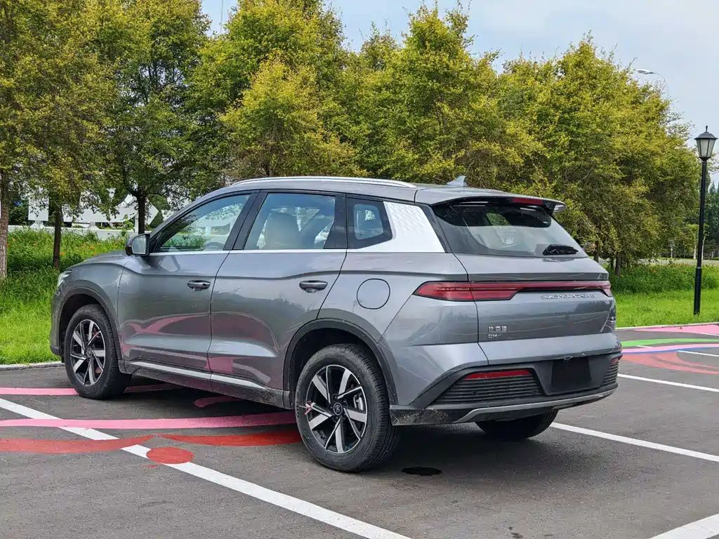 BYD Song Pro New Energy 2024 — фото 7