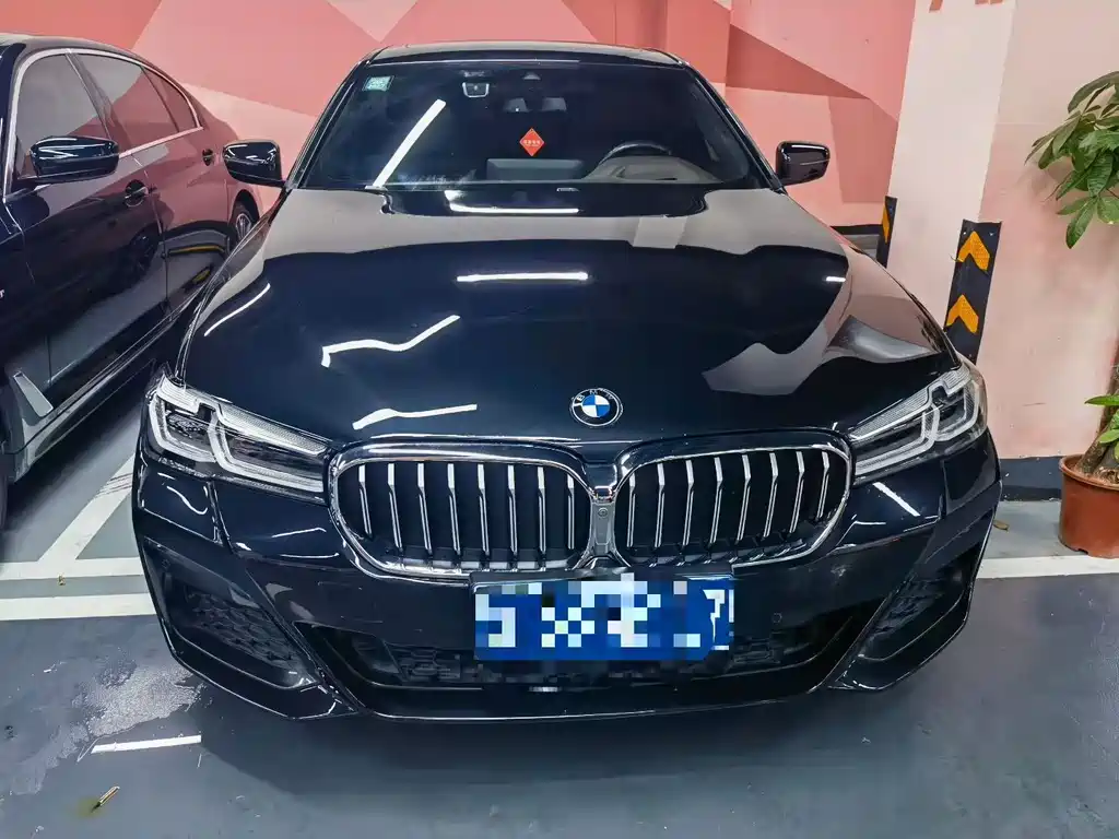 BMW 5 Series 2021