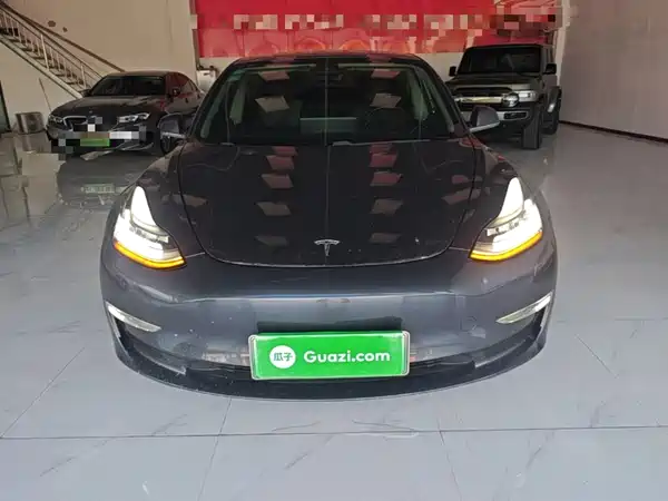 Tesla Model 3 2019