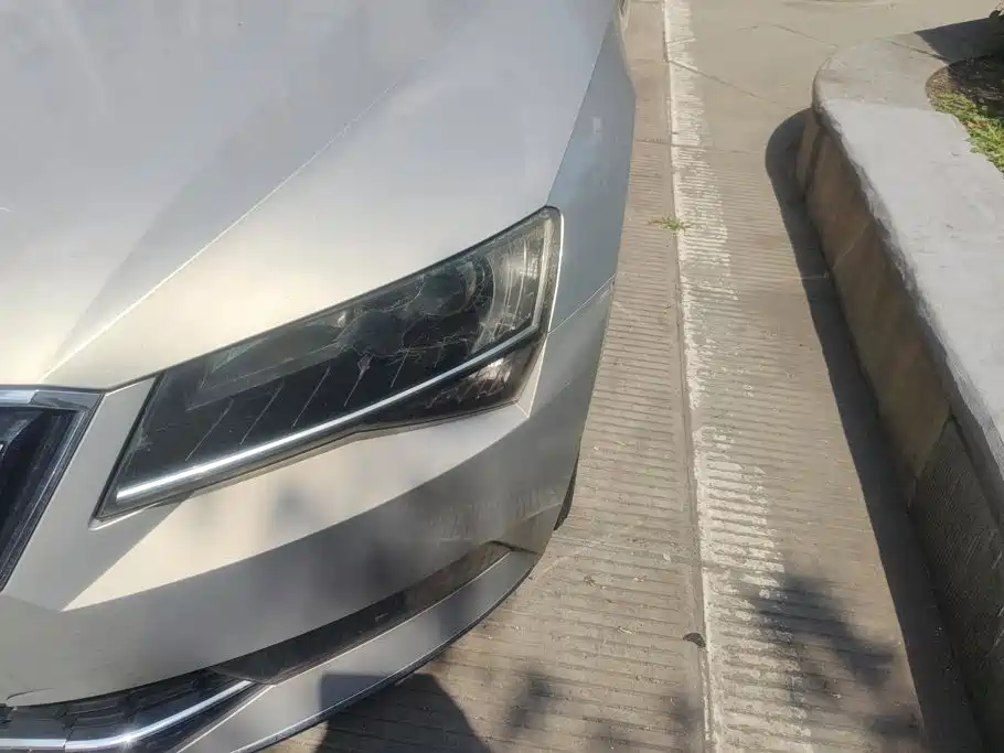 Skoda Speedy 2018
