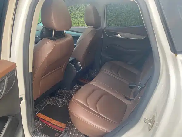 Borgward BX5 2017
