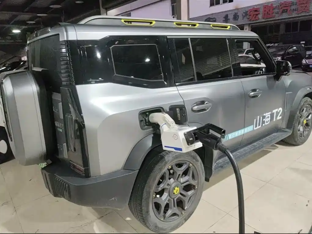Shanhai Traveller C-DM 2024 — фото 3