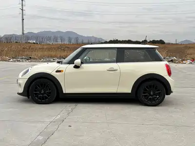 MINI MINI 2017