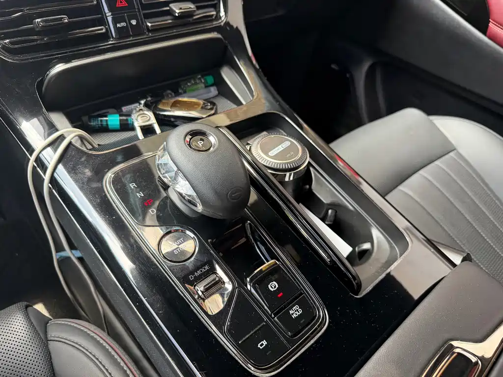 GAC Motor Trumpchi M8 2024 — фото 16