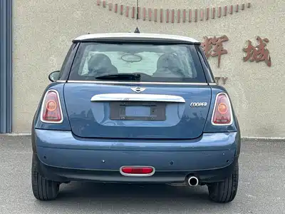 MINI MINI 2010