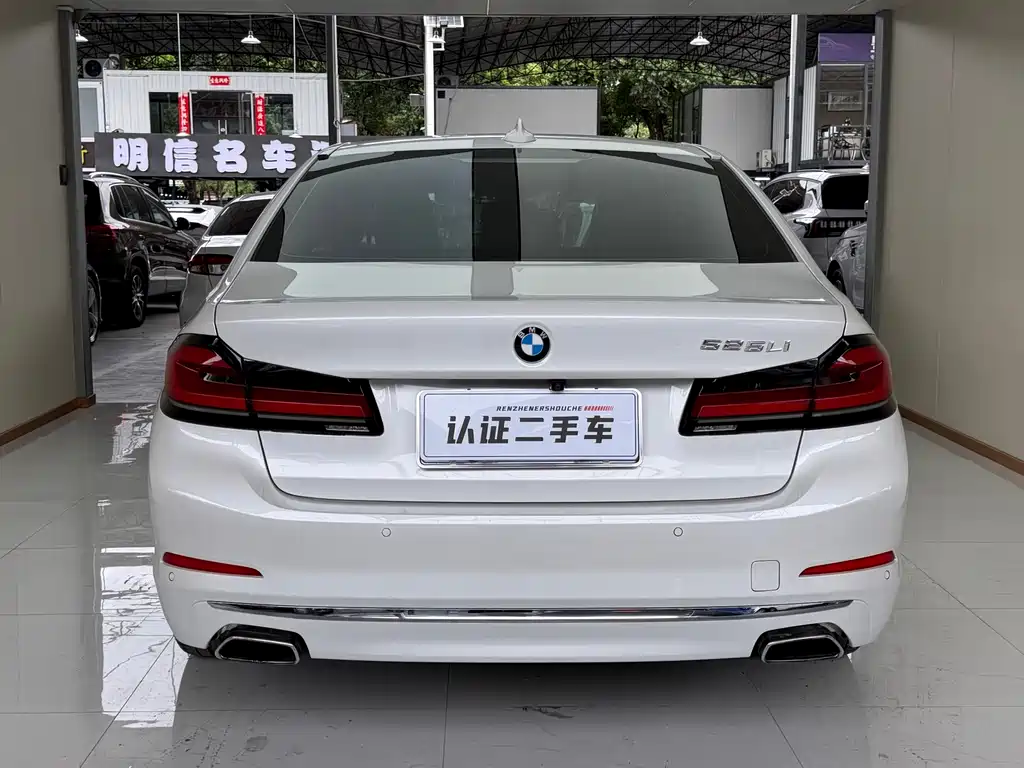 BMW 5 Series 2019 — фото 19