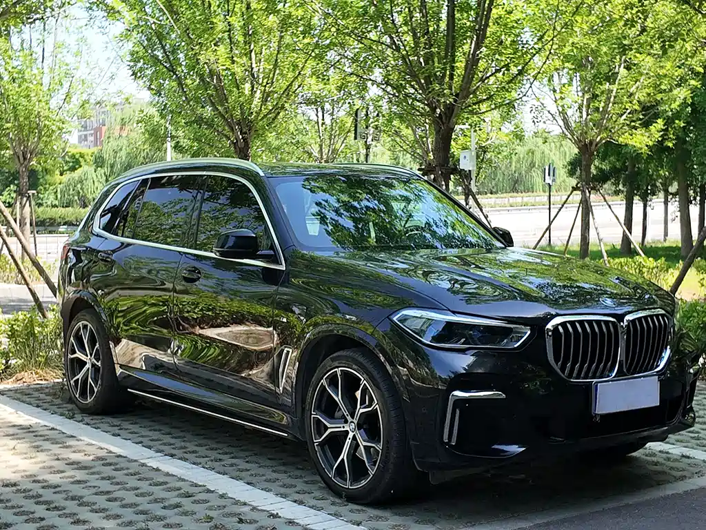 BMW X5 2023 — фото 2