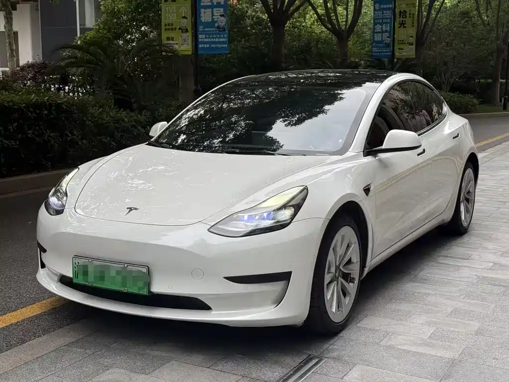 Tesla Model 3 2021 — фото 1
