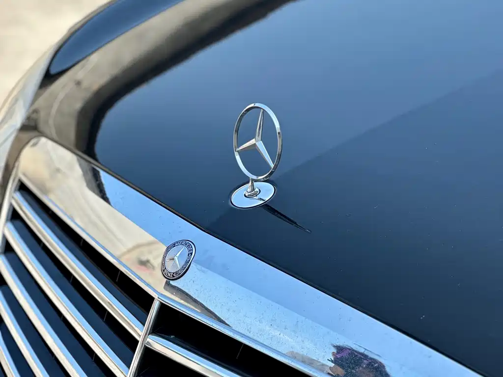 Mercedes-Benz S-Class 2010 — фото 19