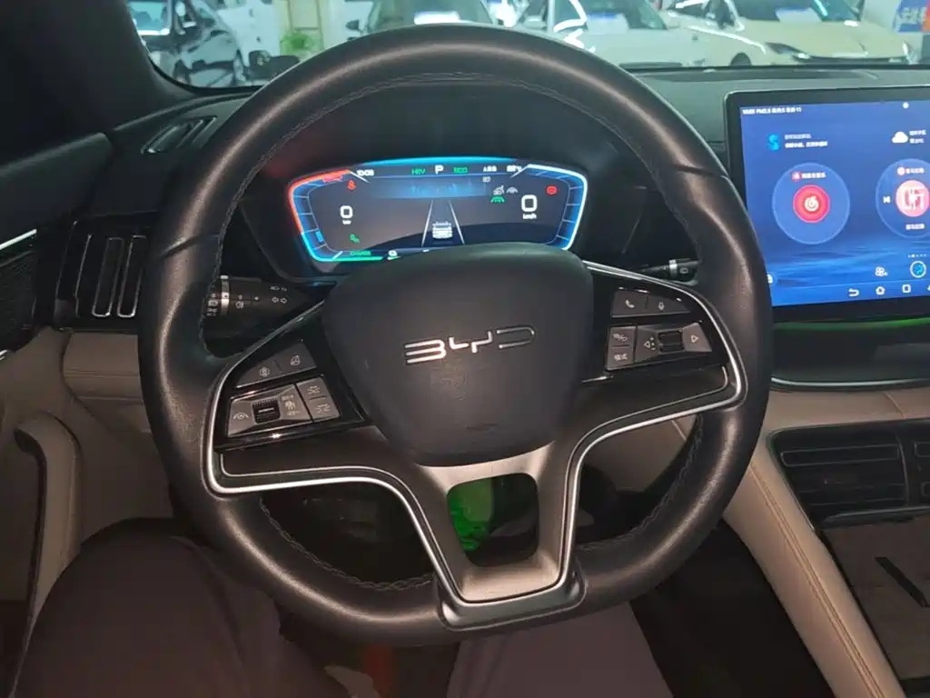BYD PLUS New Energy 2024 — фото 11