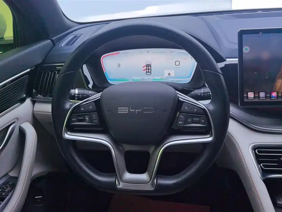 BYD PLUS New Energy 2024 — фото 15