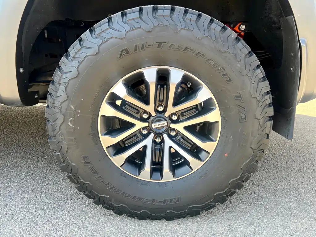 Ford F-150 Raptor 2019 — фото 13