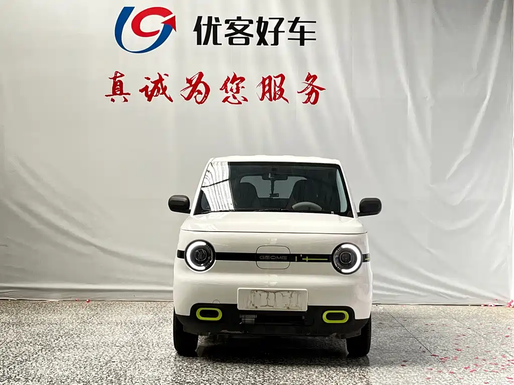 Geely Galaxy Panda 2025