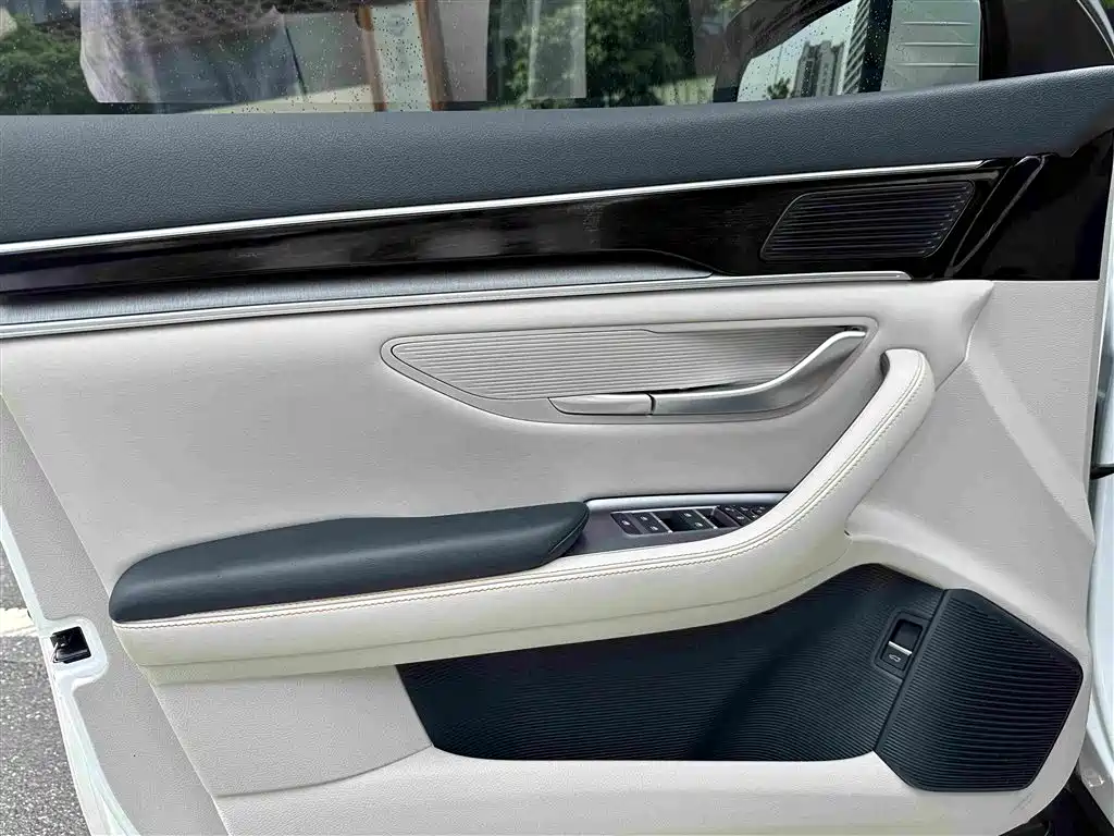BYD PLUS New Energy 2023 — фото 17