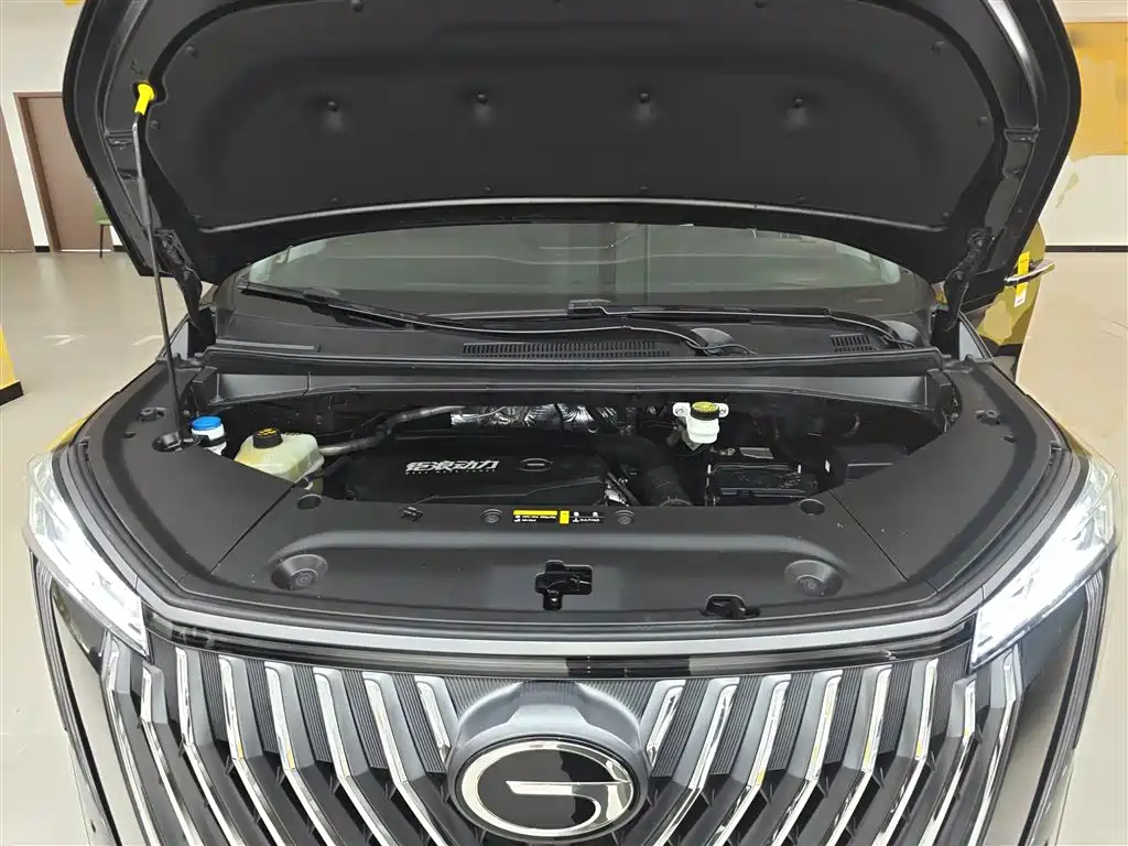 GAC Motor Trumpchi M8 2023 — фото 13