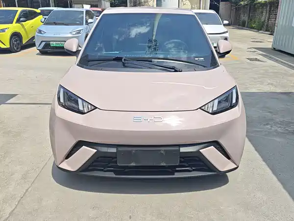 BYD Seagull 2024