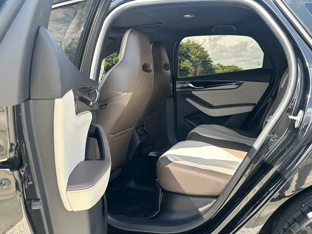 BYD Qin PLUS 2024 — фото 10