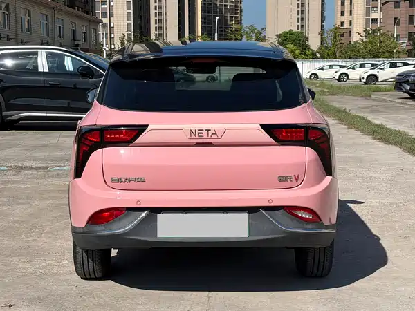 Neta V 2022