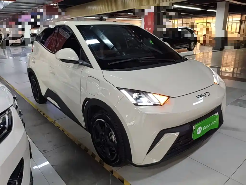 BYD Seagull 2024