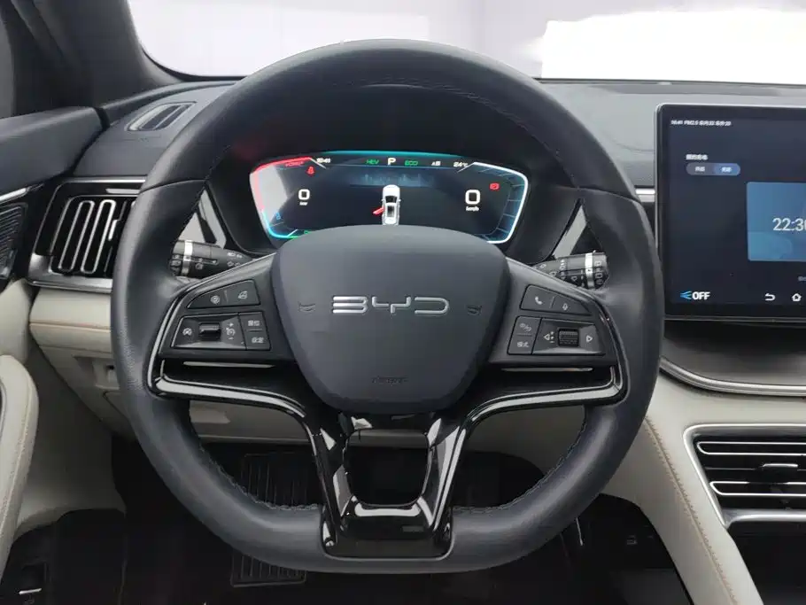 BYD Song PLUS New Energy 2024 — фото 15