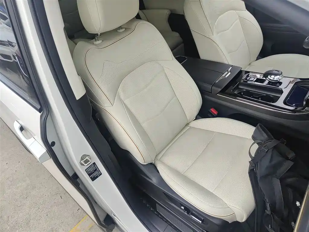 GAC Motor Trumpchi E9 2024 — фото 25
