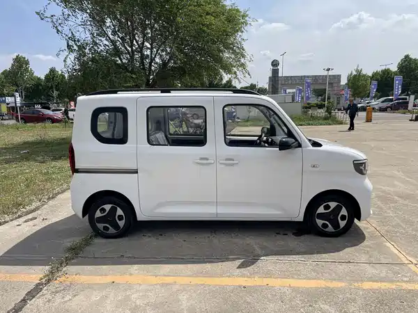 Wuling Zhiguang New Energy 2025