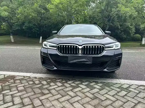BMW 5 Series 2022