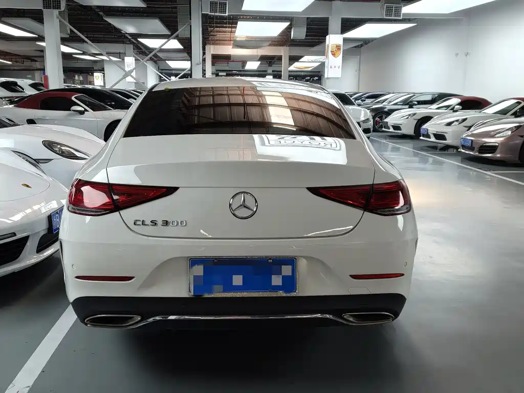 Mercedes-Benz CLS 2019 — фото 15