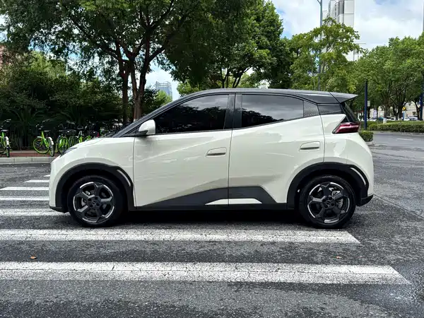 BYD Seagull 2024