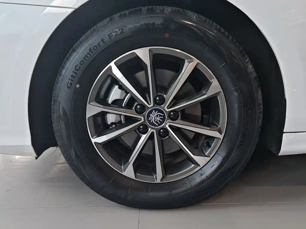 BYD Qin PLUS 2023 — фото 10