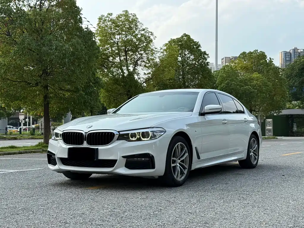 BMW 5 Series 2019 — фото 1